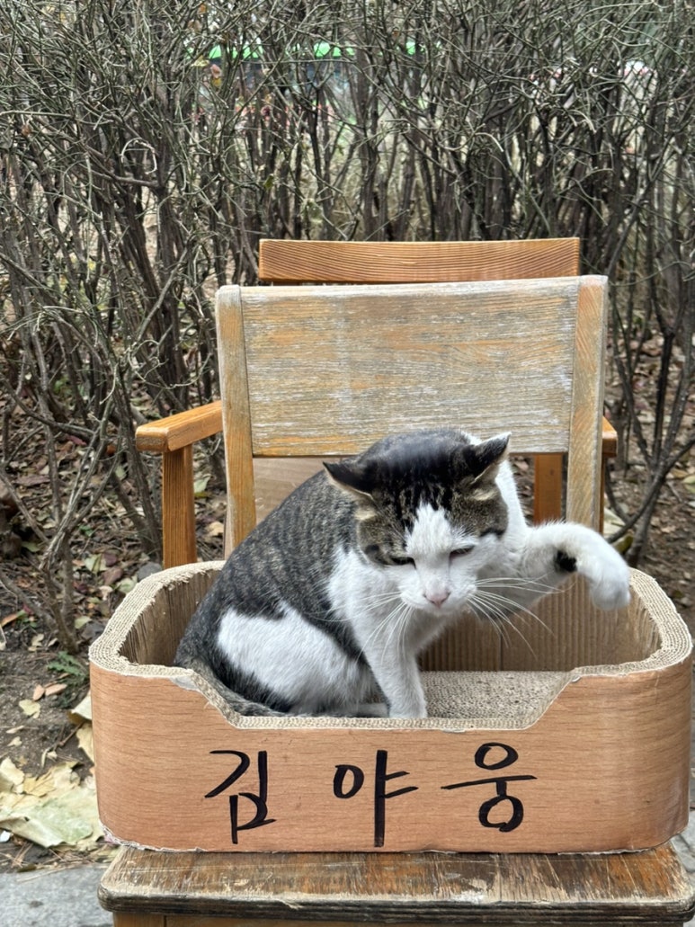 고양행복복권 이미지
