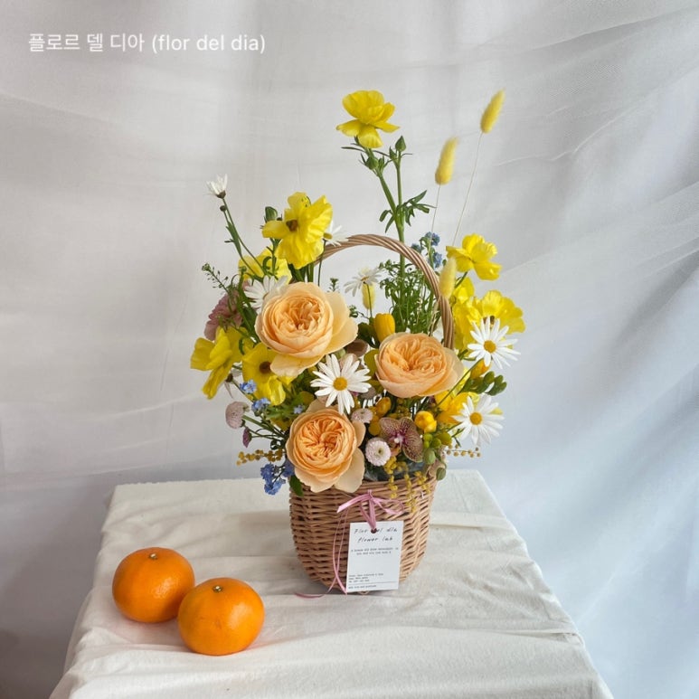델디아 이미지