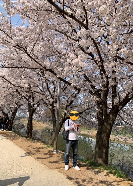 매머드익스프레스고색 이미지