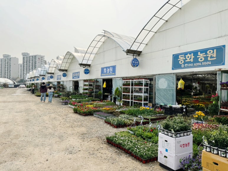 상록화원 이미지