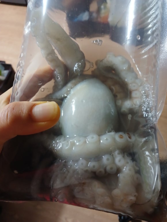 생선팜 이미지