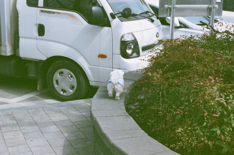 캐논상사 이미지