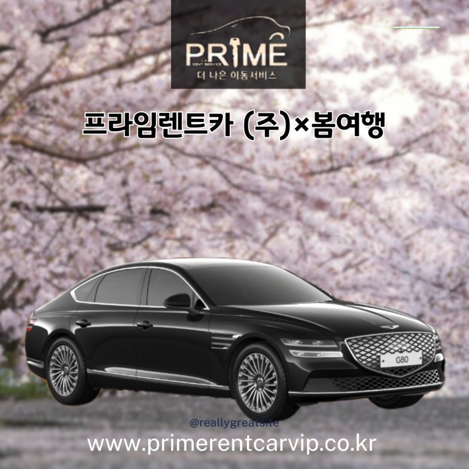 대한렌트카주 이미지