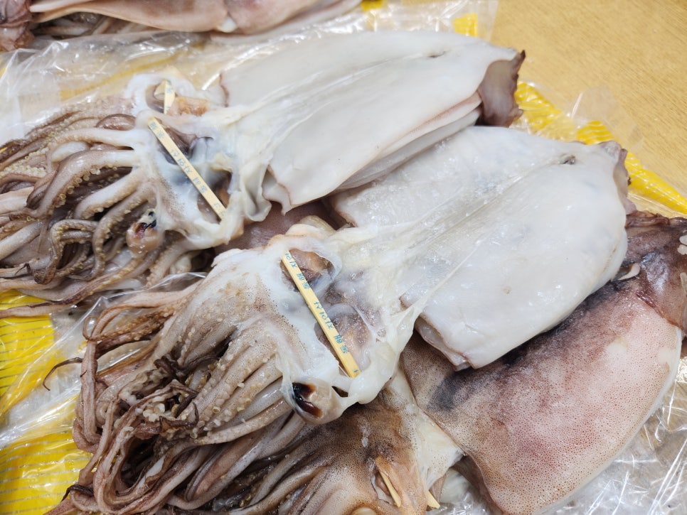 더건어물 이미지