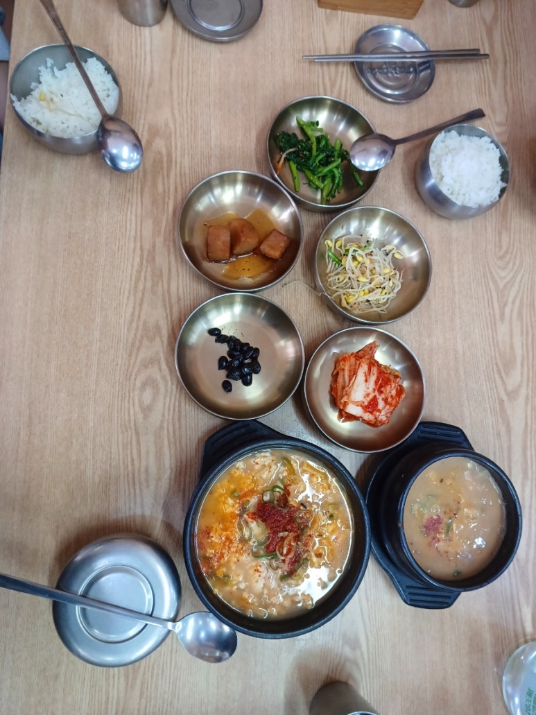 신박사 콩사랑 이미지