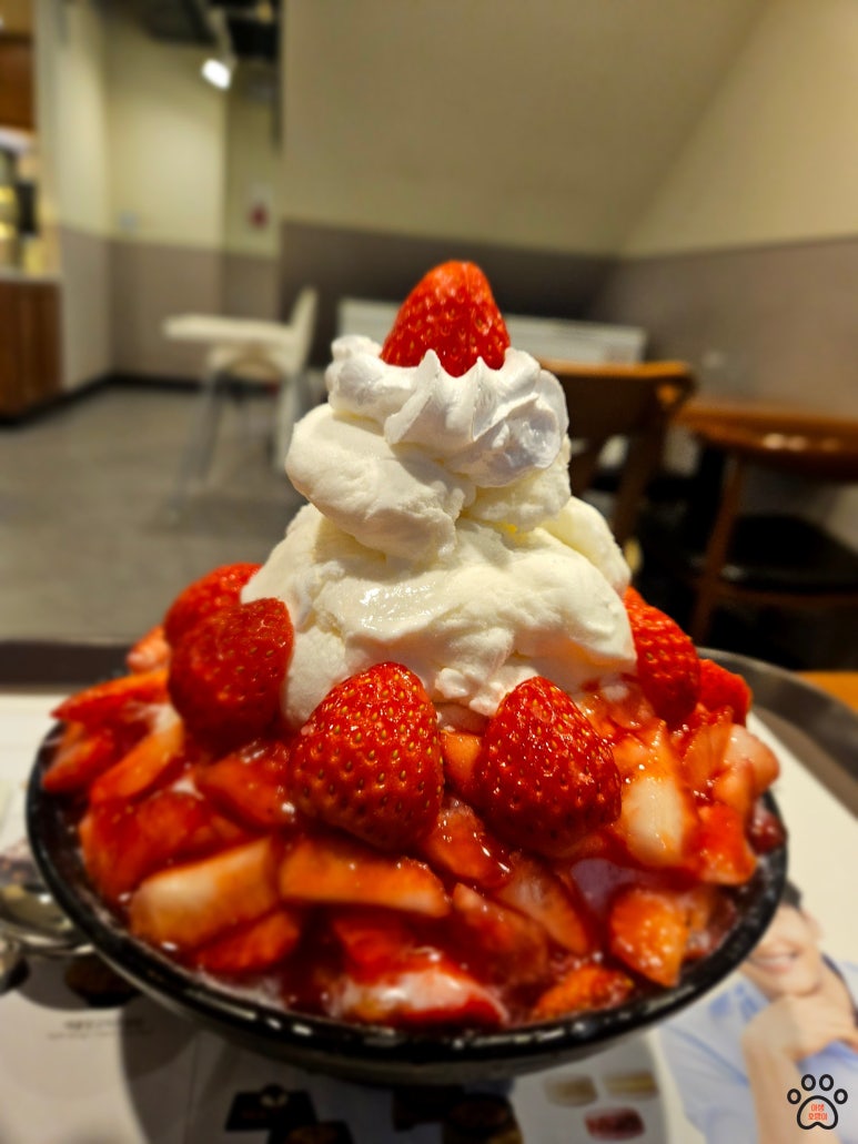 설빙응암역점 이미지