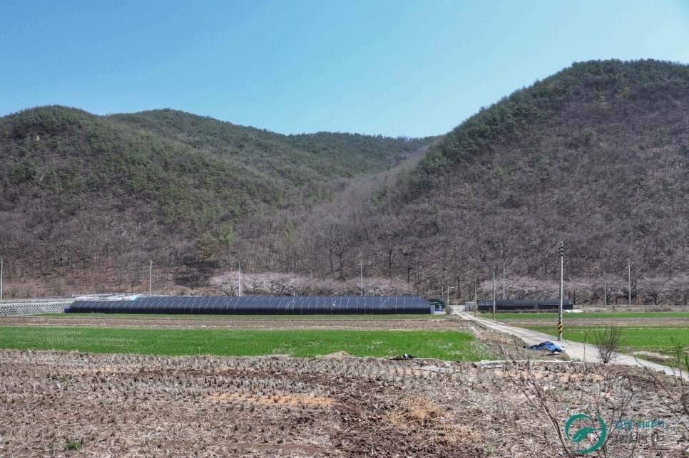 자굴산치유수목원 이미지