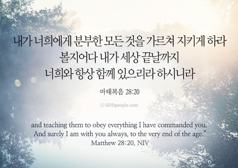 한하람 이미지