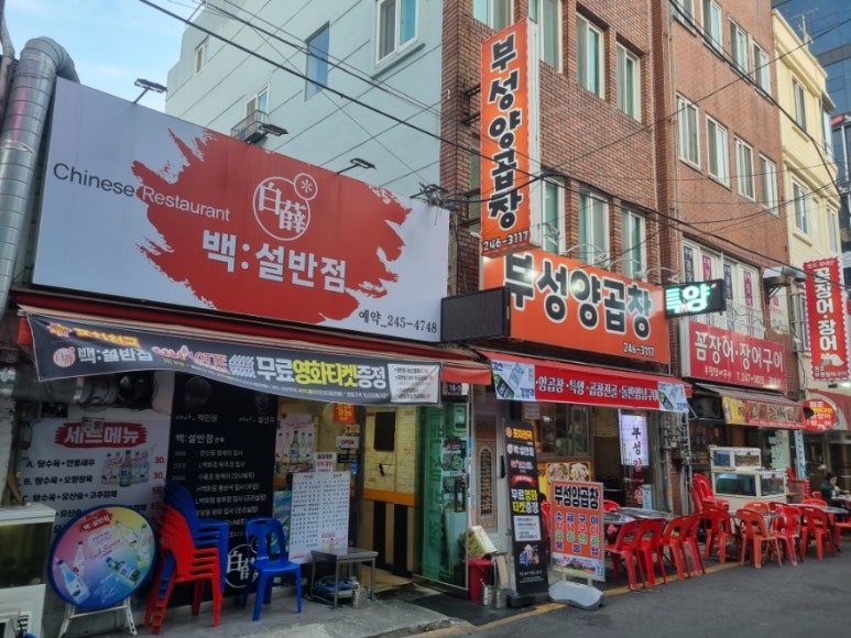 백설반점 이미지
