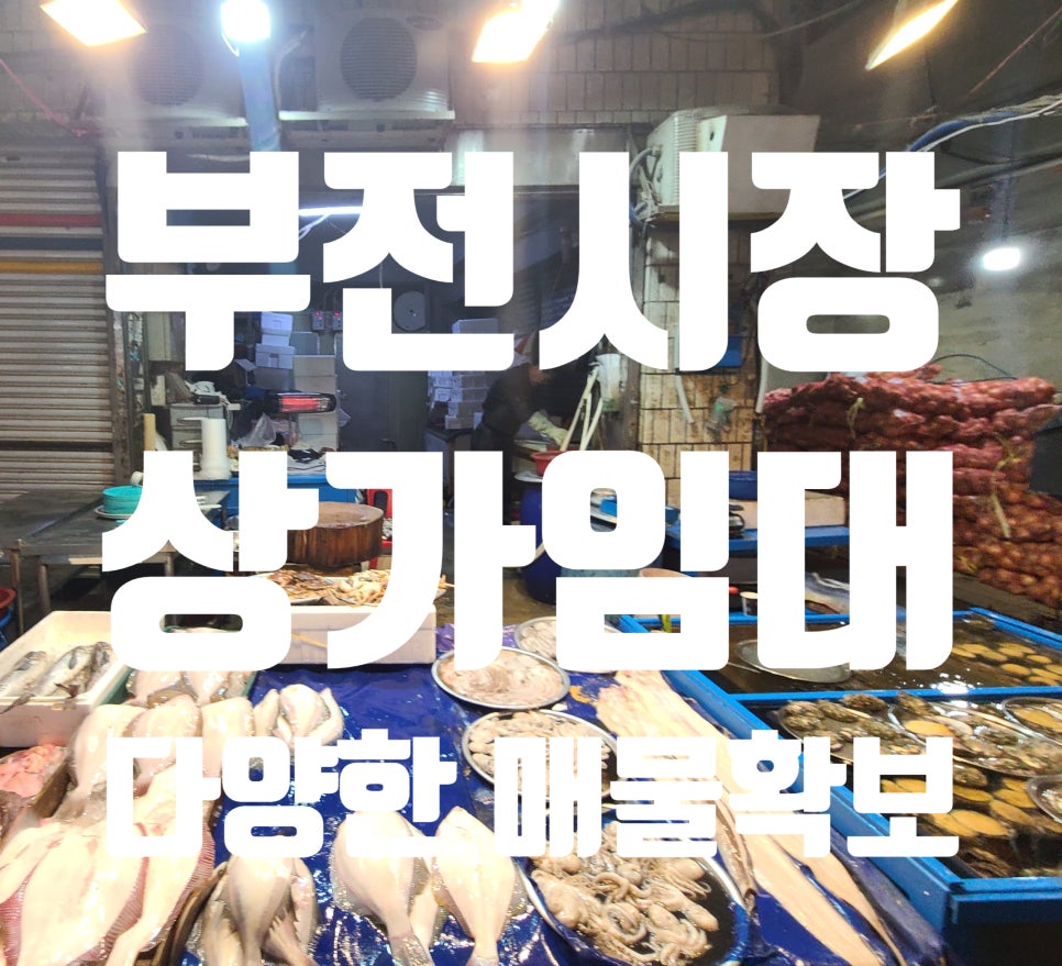 부전생닭 이미지