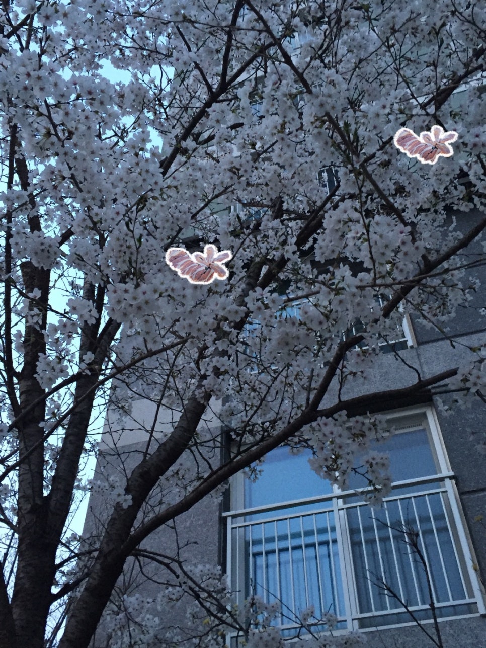 의정축산 이미지