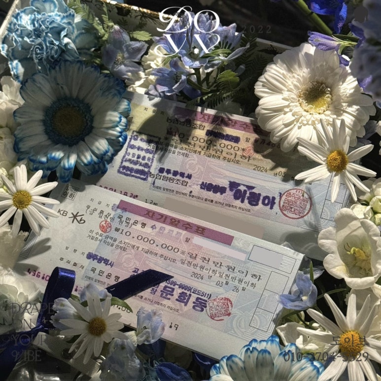 도이브 이미지