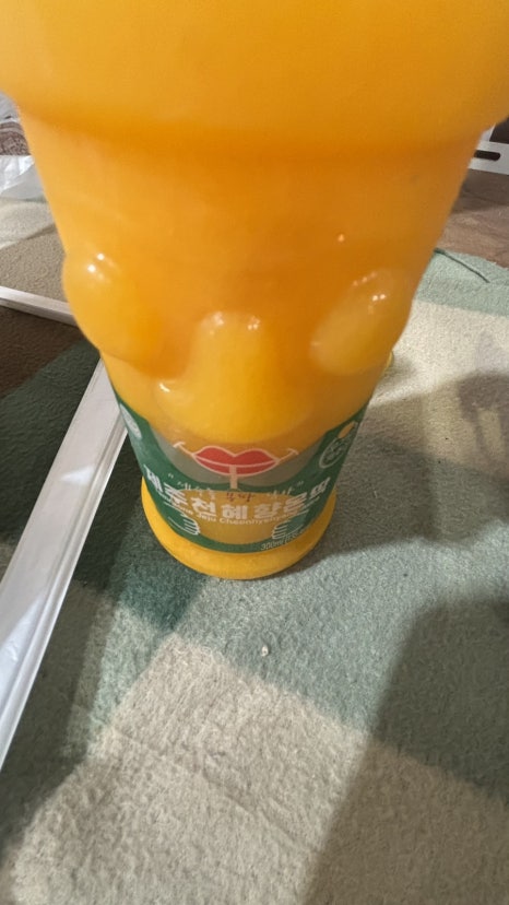 성진여행사 이미지
