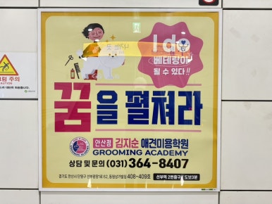 김지순애견미용학원 이미지