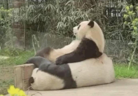 칼트칼터칼트 이미지