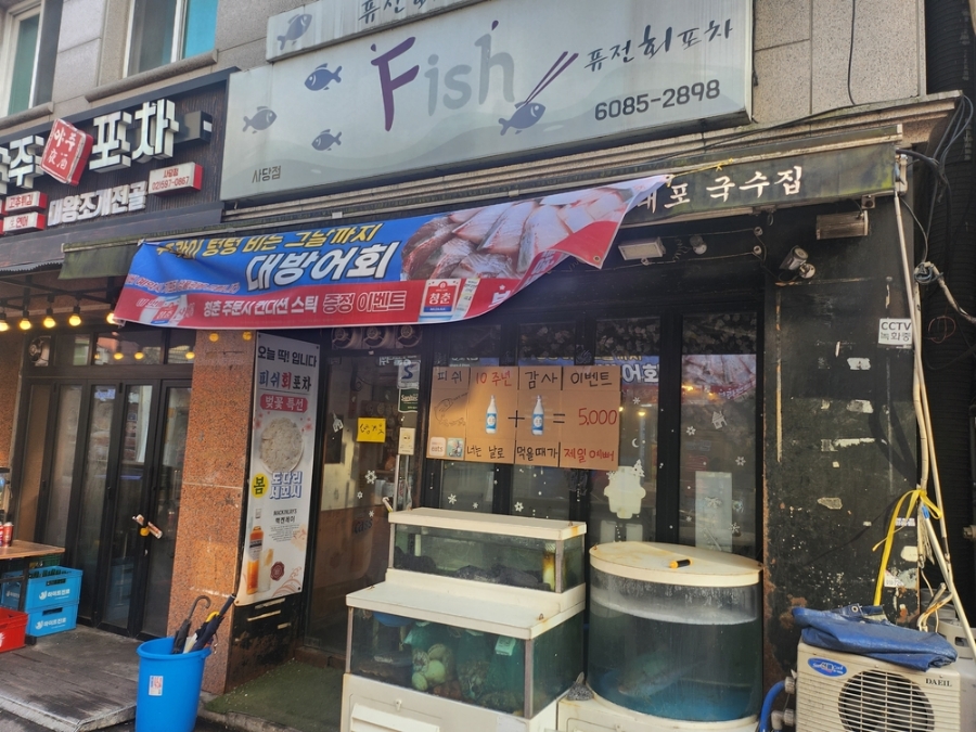 더피쉬 이미지