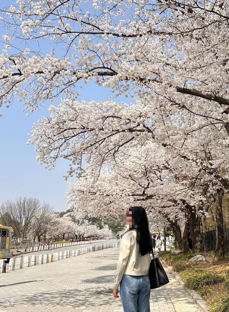 제이드망 이미지