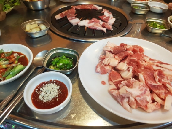 촌돼지 이미지