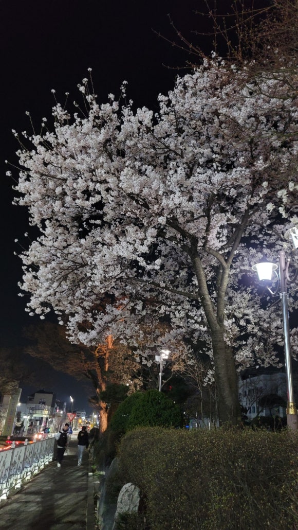 정화사 이미지