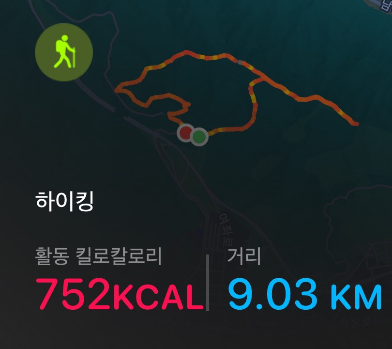 진흥사 이미지