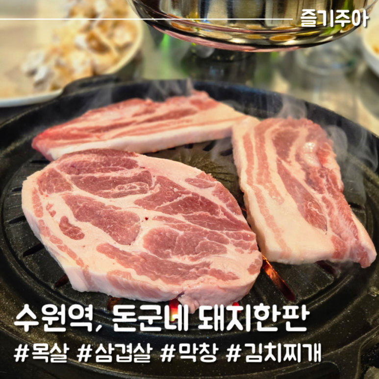 돈군네돼지한판 이미지