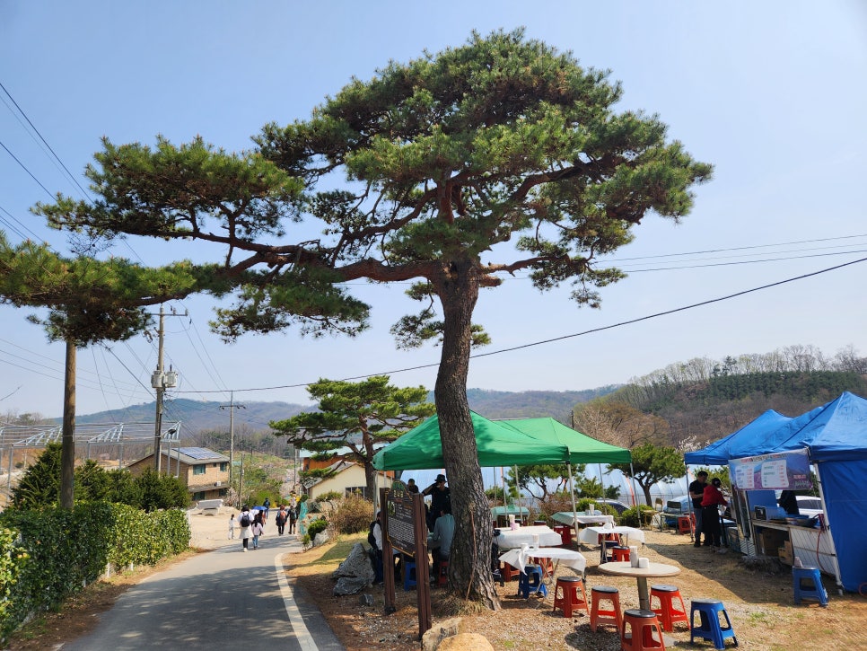 국화리마을 이미지
