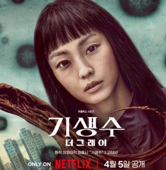 더그레이헤어 이미지