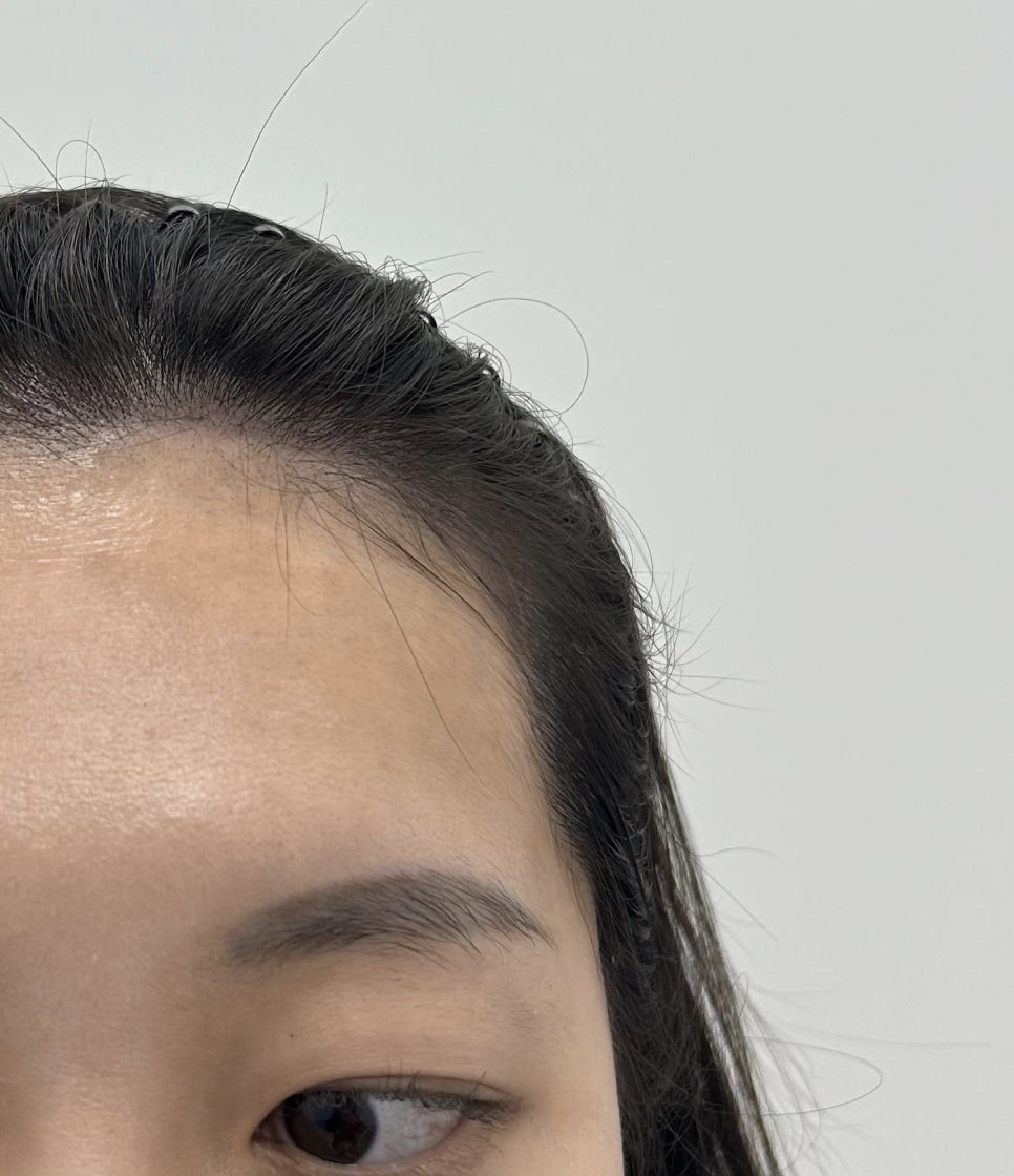 프리모르 이미지