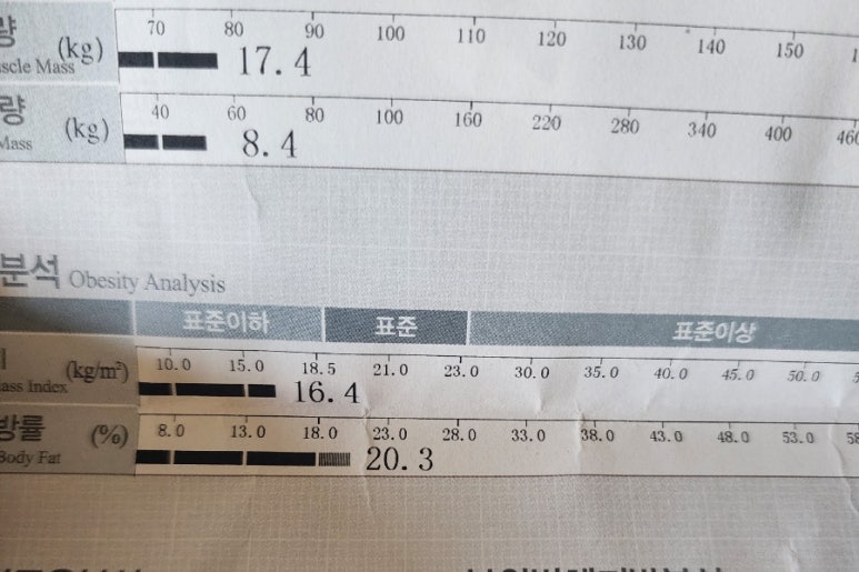 샐러드 바스켓 죽전점 이미지