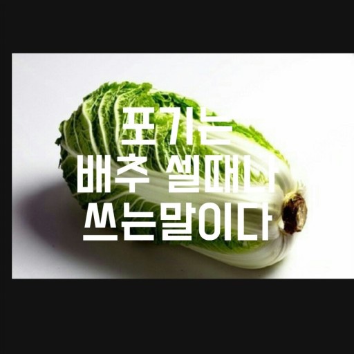 윤투어 이미지