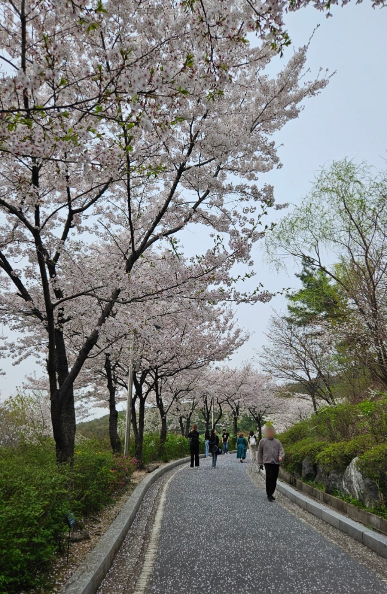 낙산코너 이미지