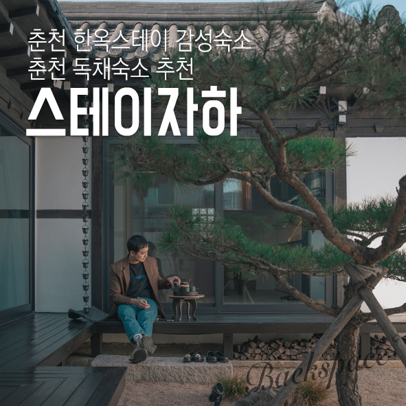 스테이자하 이미지