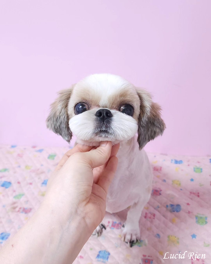 루시드살롱 이미지