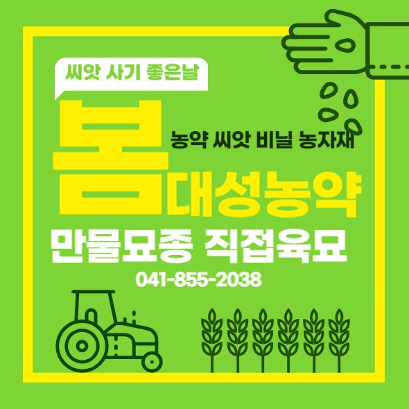 대성만물 이미지