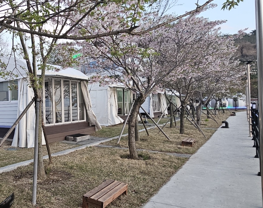 글로리아 캠핑장 이미지