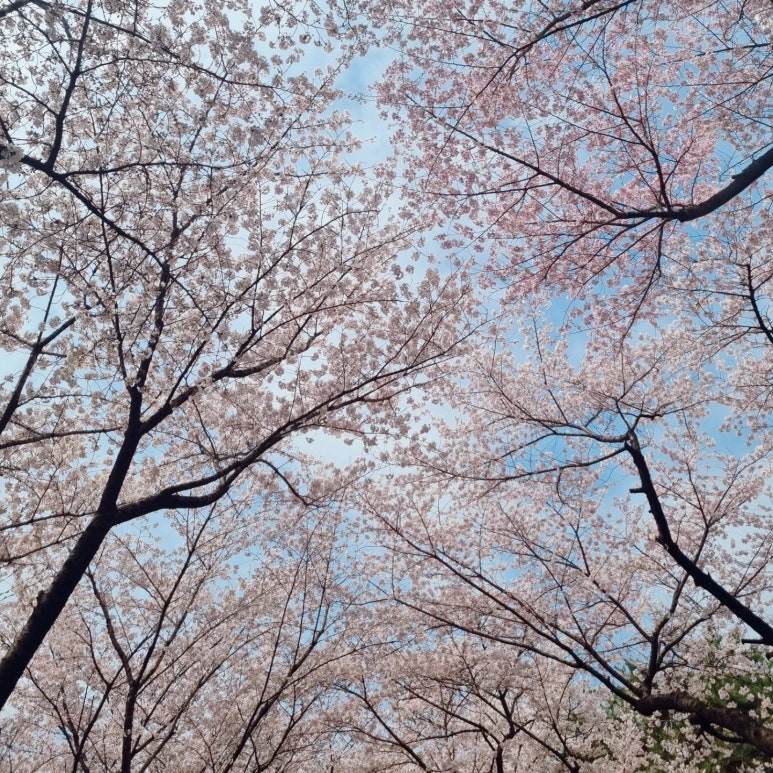 바로고침 이미지