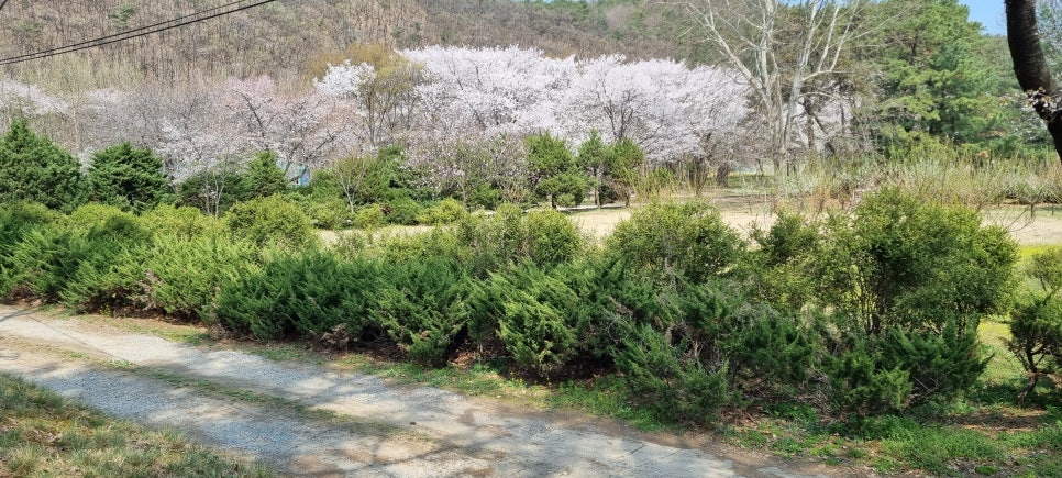동인체험 이미지