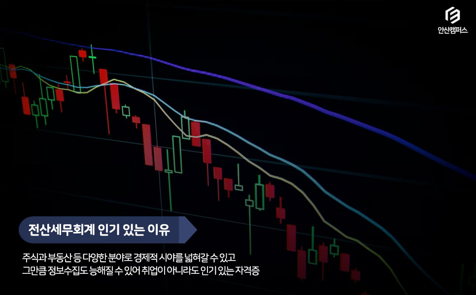 이윤세무회계 이미지
