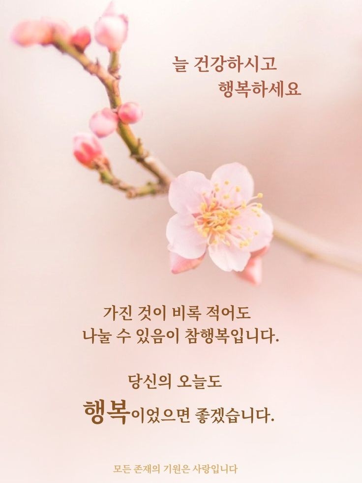 던(DAWN) 이미지