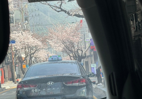 히요네일 이미지