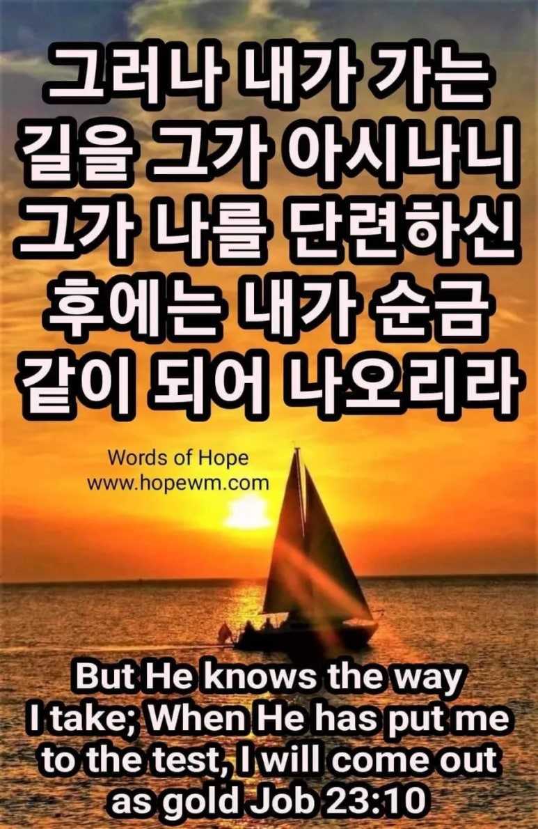 유레카(eureka) 이미지
