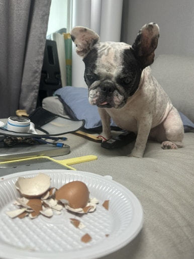 호수매운탕 이미지