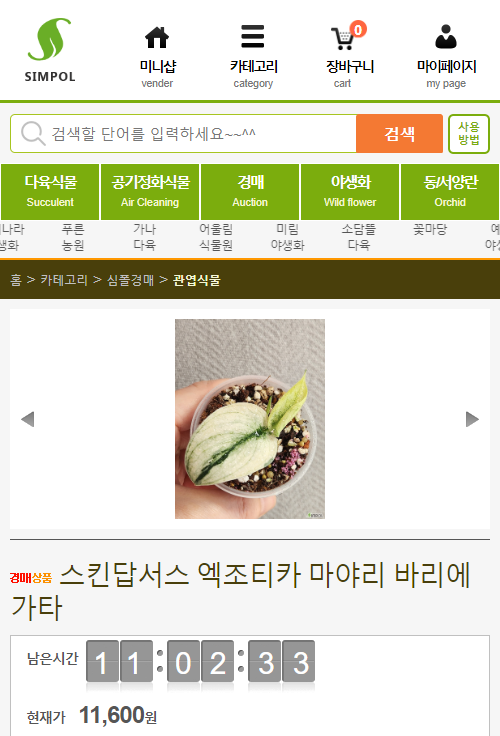 묘한정원 이미지
