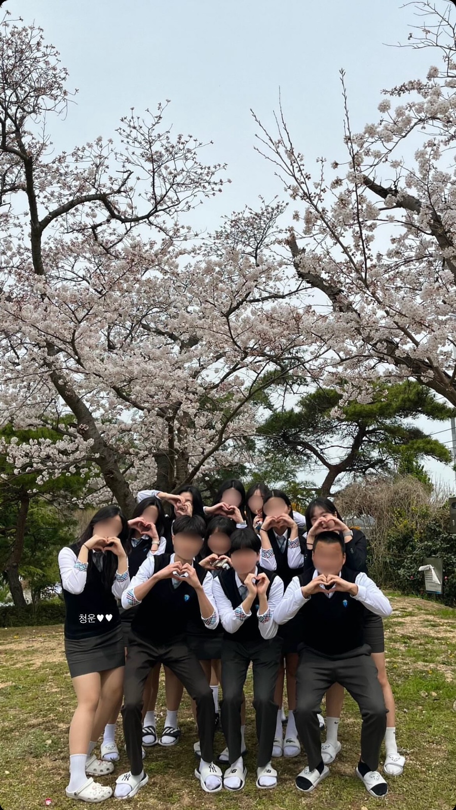현대고매점 이미지