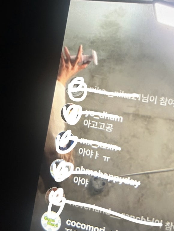 신지여행사 이미지