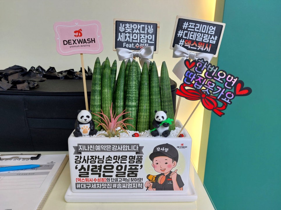 덱스워시대구 이미지