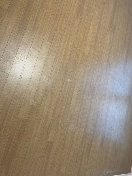 현장 사진