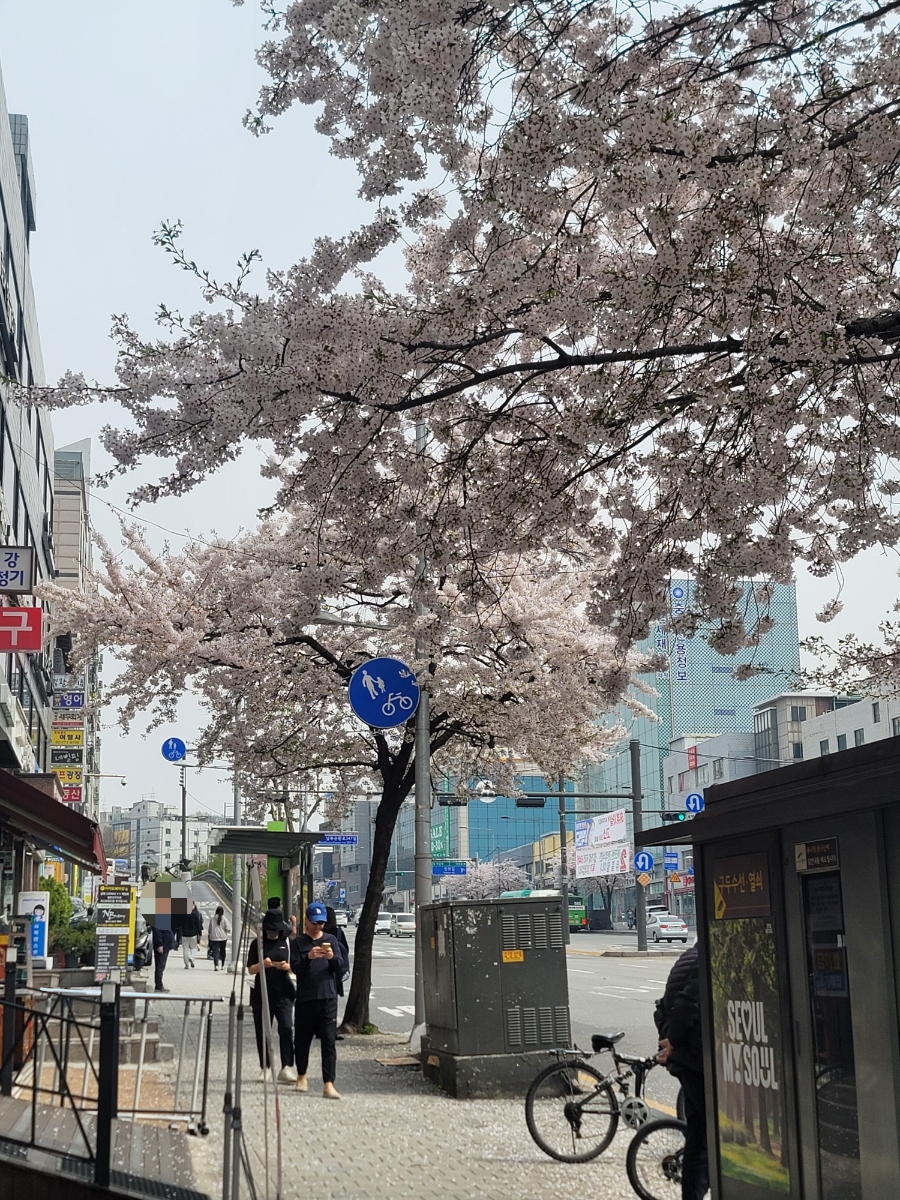로스터리 안밀 이미지