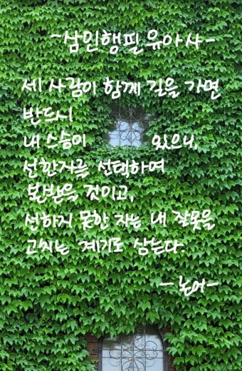 바람쐬다 이미지
