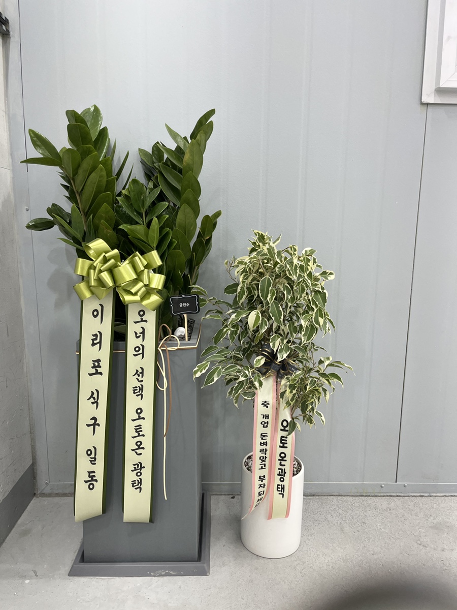오토온광택 이미지